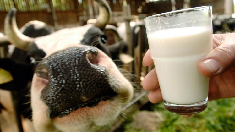 Zwar wird in Indien so viel Milch erzeugt wie in keinem anderen Land, das aber vor allem in kleinstbäuerlichen Strukturen – was wenig effizient ist.  