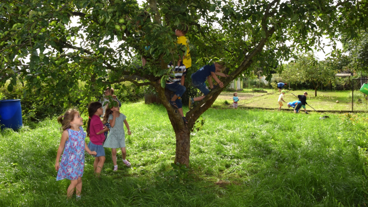 Im Garten Nummer 7 in der Anlage „Wiesengang“ hielten in diesem Sommer Kita-Kinder Einzug.  