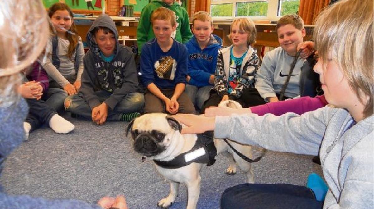 Ein Mops begeistert Schüler