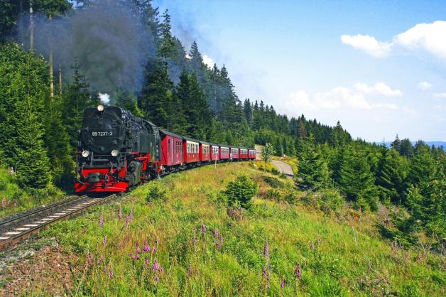 Der bequemste Weg zum Brockengarten führt mit der Harzer Schmalspurbahn.  