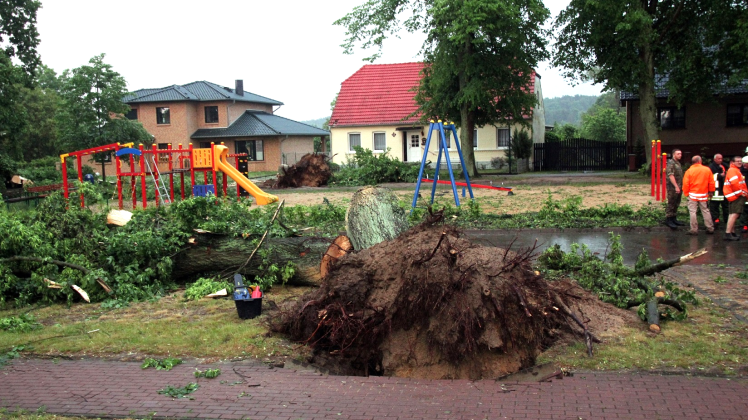 Unwetterschäden in Suckow: Viele Bäume stürzten um. Die Geräte auf dem Dorfspielplatz wurden dabei ebenfalls schwer beschädigt.  