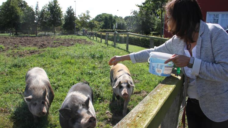 Strandhafer-Chefin Andrea Martens füttert die Schweine. 