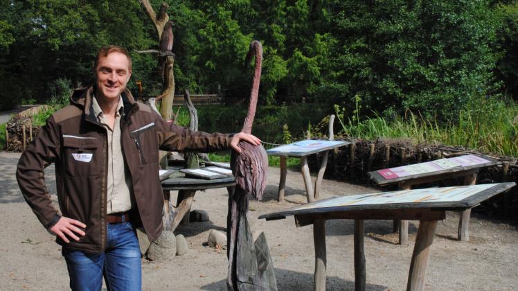 Wassergebundene Decke, Info-Tafeln und Tierskulpturen aus Holz: Zoo-Direktor Dr. Tim Schikora zeigt eine Fläche an der Teichanlage, die sich vor dem Froschhaus befindet und bereits umgestaltet wurde.  