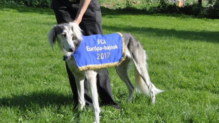 Besitzern Frauke Sörensen und Hund Eibi: Zusammen holten sie den europäischen Meistertitel im Windhundrennen nach Kirch Grambow. 