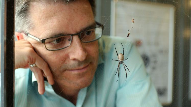 Thomas Scheibel forscht an der technischen Nutzung von Spinnenseide. Thomas Scheibel forscht an der technischen Nutzung von Spinnenseide.