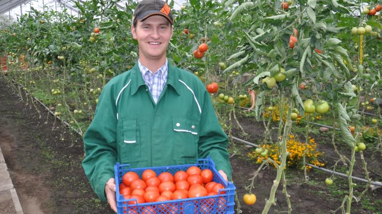 Robert Klinner mit den Tomaten aus dem Grünkram-Gewächshaus.  