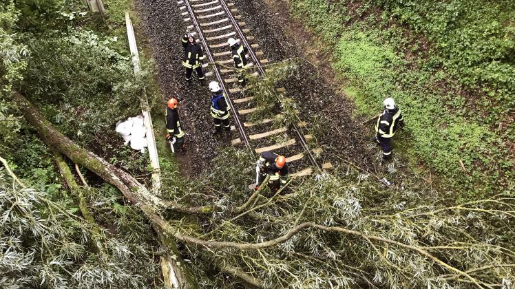 Bahn lahmgelegt: Ein vom Sturm umgeworfener Baum liegt nahezu quer auf dem Gleis zwischen Eutin und Lübeck.