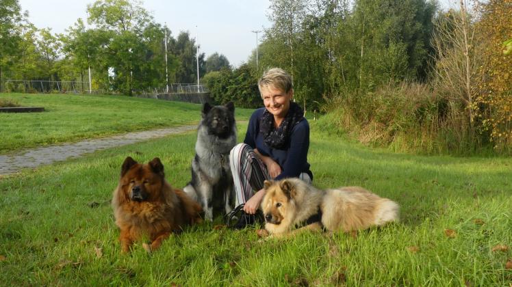 Freuen sich auf die Messe: Hundezüchterin und Trainerin Pia Nordbeck mit ihren Hunden Amadeus, Suri und Shila (v. l.).   