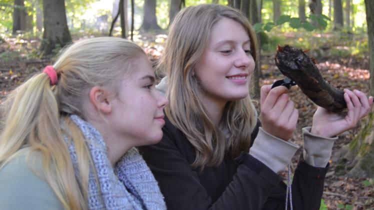 Klein, aber wunderschön: Anna-Sophie Ulmer (links) und Anna-Lena Ziemann bewundern einen Zähnchenpilz mit Lupe. 