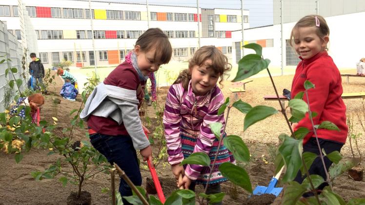 Dürfen den Schulhof mit gestalten: Die Abc-Schützen halfen jetzt beim Bepflanzen des Grünen Klassenzimmers. 