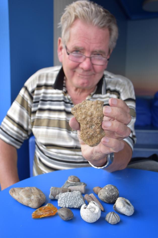 Geschiebekundler Klaus Büge mit einem winzigen Teil seiner umfangreichen Sammlung. In der Hand hält er einen Fund von Brachiopoden – die Algenreste und Muscheln sind gut erkennbar.  