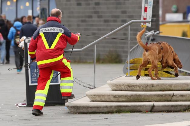 Ein Rettungshundeführer sucht mit einem Personenspürhund nach dem Vermissten.