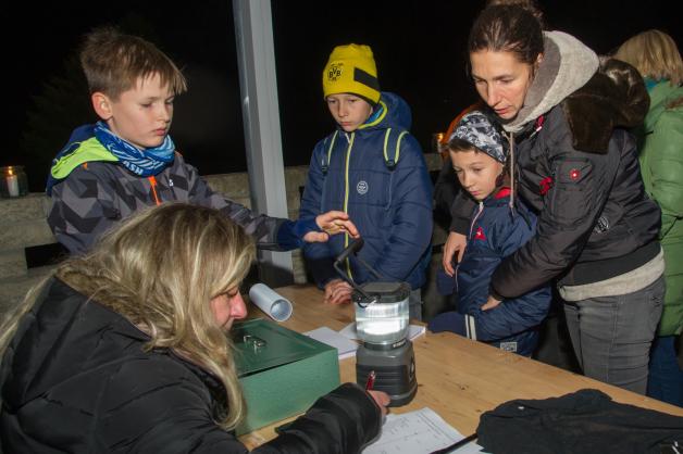Steinmetzmeisterin Bianka Lasarzik hatte alle Hände voll zu tun, um die mehr als achtzig Besucher mit Eintrittskarten zu versorgen. Steinmetzmeisterin Bianka Lasarzik hatte alle Hände voll zu tun, um die mehr als achtzig Besucher mit Eintrittskarten zu versorgen.