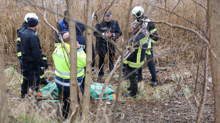 Wasserleiche in Rostocker Unterwarnow gefunden - Toter Mann trieb im Schilfgürtel in Langenort