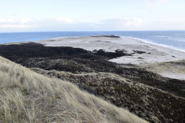 Das südliche Ende in Hörnum ist zur Zeit der Teil der Insel, an dem man die Einwirkungen der Naturkräfte am deutlichsten beobachten kann.