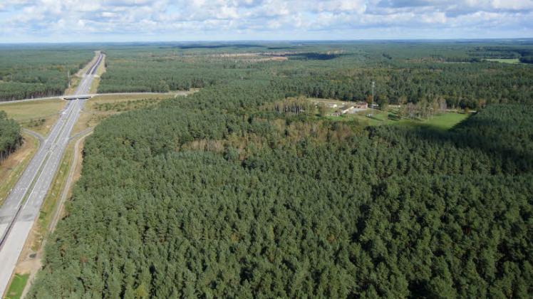 Dieses fast 40 Hektar große Waldstück an der A 14 soll gefällt werden für den Bau des Grabower Gewerbeparks neben der Autobahn. Dieses fast 40 Hektar große Waldstück an der A 14 soll gefällt werden für den Bau des Grabower Gewerbeparks neben der Autobahn.