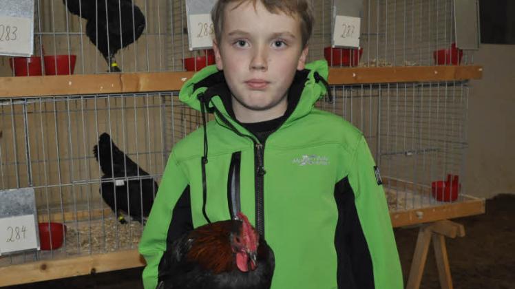 Erik hofft, mit seinem Hahn oder den dazugehörenden Hennen einen Preis zu ergattern – laut dem Vorsitzenden Jens Zollhöfer hat er gute Chancen. 