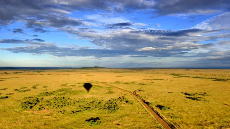 Eine Straße zieht sich durch quer die Savanne, daneben der Schatten eines über der Masai Mara schwebenden Heißluftballons. Fotos: dpa Eine Straße zieht sich durch quer die Savanne, daneben der Schatten eines über der Masai Mara schwebenden Heißluftballons. Fotos: dpa