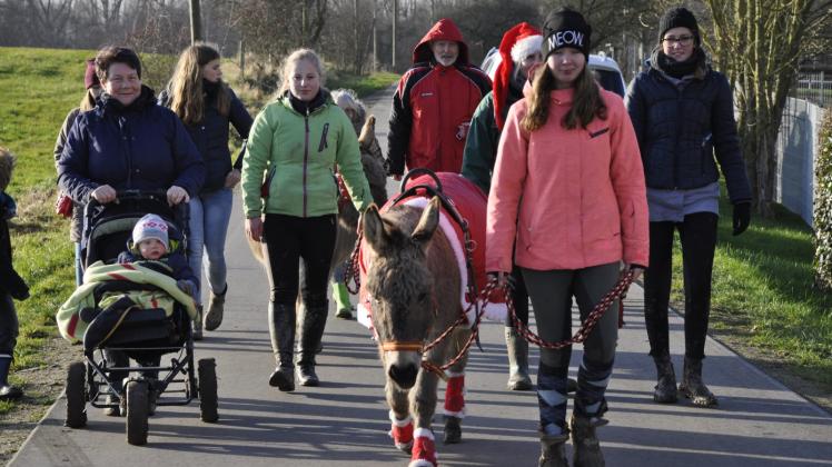 Der Spaziergang mit den Eseln war einer der Höhepunkte der Tierweihnacht auf dem Lottihof. 