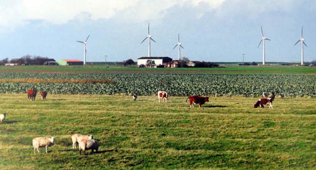 Heimatkunde mit Zungenbrecher HellschenHeringsandUnterschaar SHZ
