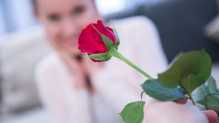 Es kommt auf die Geste an, nicht auf die Menge: Wie viele Rosen am Valentinstag geschenkt werden, spielt keine Rolle.  