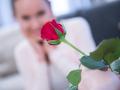 Es kommt auf die Geste an, nicht auf die Menge: Wie viele Rosen am Valentinstag geschenkt werden, spielt keine Rolle.  