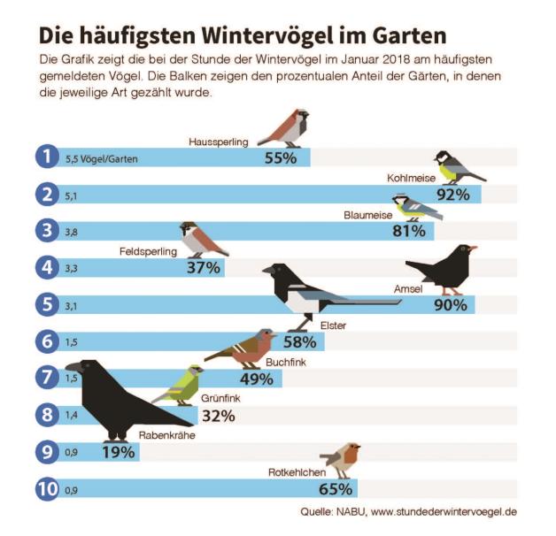 Sag Mir, Wo Die Vögel Sind... | SVZ