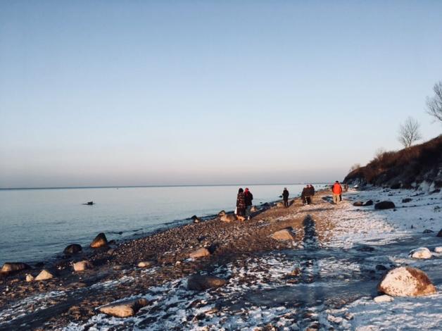 Viele Spaziergänger blicken Richtung Wasser und beobachten die Robbe auf dem Stein. Fotos: rika Viele Spaziergänger blicken Richtung Wasser und beobachten die Robbe auf dem Stein. Fotos: rika