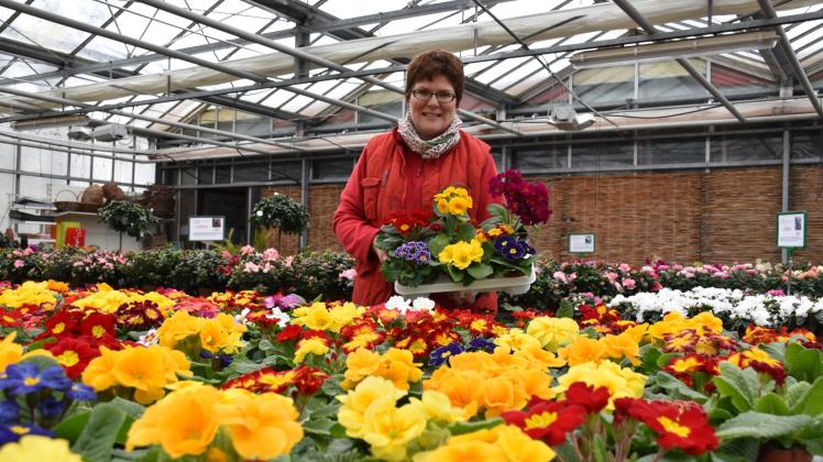 Den Geschmack ihrer Kunden kennt Floristin Anja Ortmann genau. Primeln und Stiefmütterchen sind die Favoriten, die schon bald als Farbtupfer in den Gärten blühen werden. 