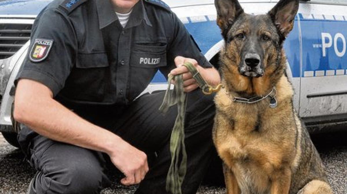 Ein Hund im PolizeiEinsatz SHZ