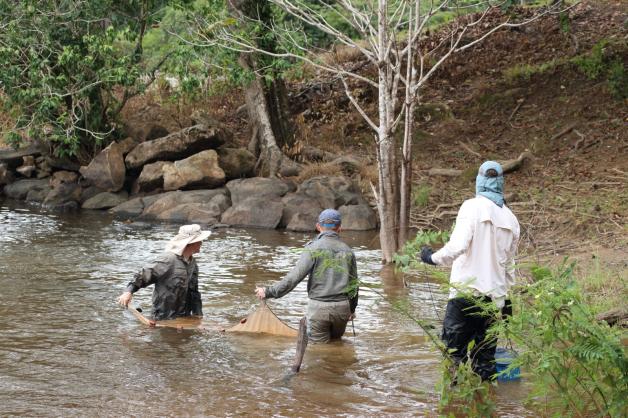 Stralsunder Fischforscher  im Surinam River 