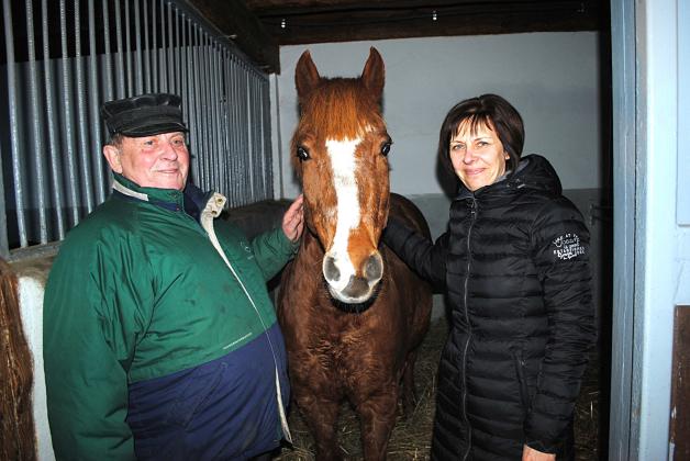 Vereinsvorsitzender Wilhelm Elsner und Schatzmeisterin Katrin Elsner mit dem bei den Kindern sehr beliebten Pferd Lümmel.