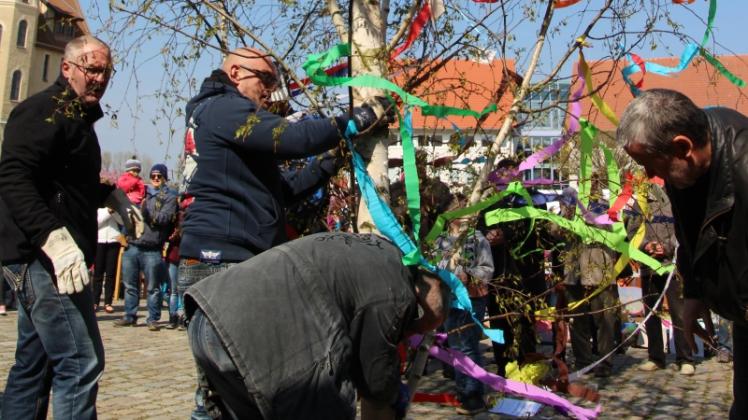 Ein Stück Traditionbeim Frühlingsfest:  Am Krummen Haus in Bützow wird auch in diesem Jahr der Maibaum wieder aufgestellt. Hinzu kommen zahlreiche Neuerungen. 