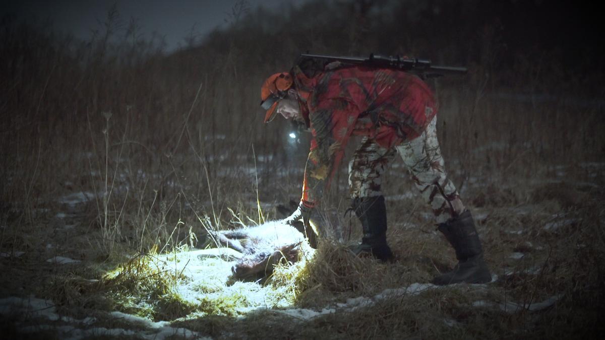 Nachts Im Wald – Auf Wildschweinjagd In Schleswig-Holstein | SHZ