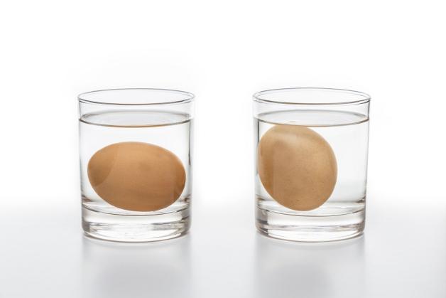 Mit dem Wasserglastest lassen sich Eier auf ihre Haltbarkeit hin überprüfen: Ein frisches Ei bleibt im Wasserglas unten, während sich ältere, aber noch genießbare Eier aufrichten. Schwimmt das Ei oben, muss es entsorgt werden.