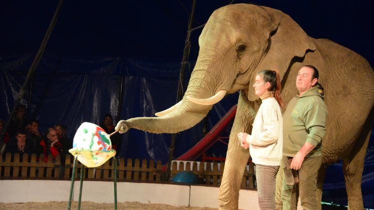 Elefantendame Mala übt fürs Osterfest schon fleißig. Da sind auch die Tierlehrer Nadja und Sonni Frankellow begeistert. 