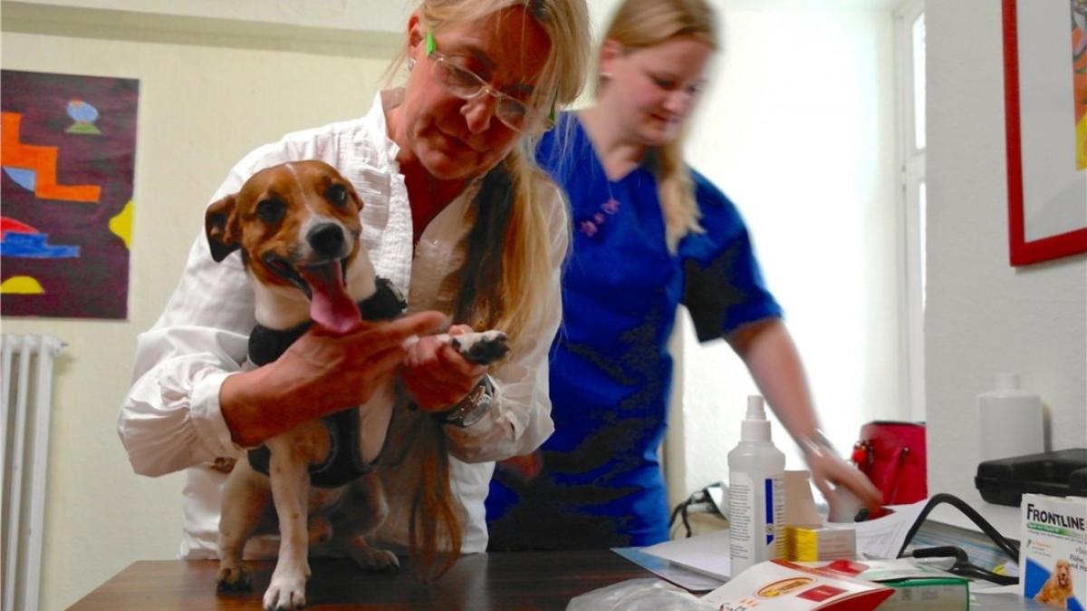 Carolyn Döhner Tierärztin /jedes Tierleben ist uns wichtig