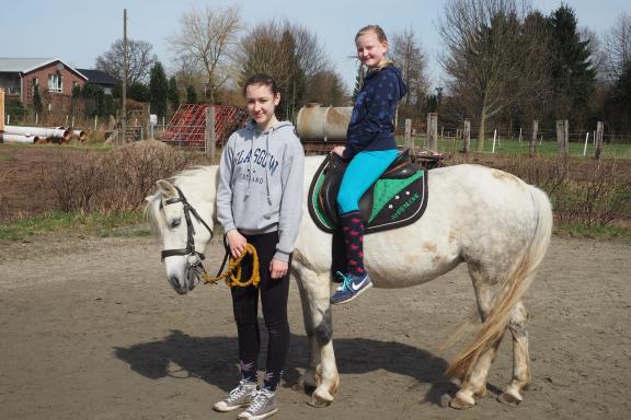 Flohmarkt auf dem Ponyhof war voller Erfolg | SHZ