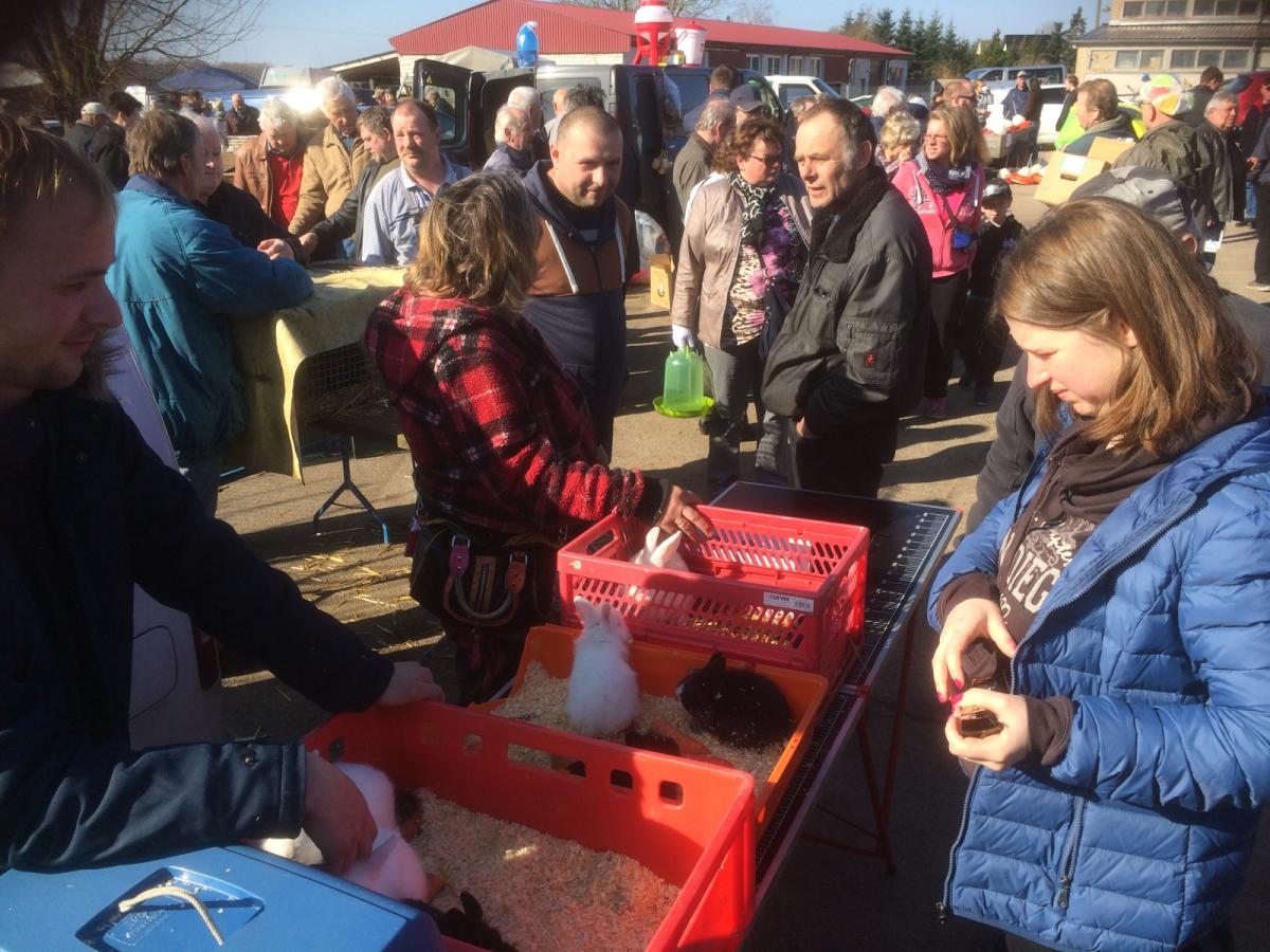Mehr als 1000 Besucher bei Kleintierbörse | SVZ