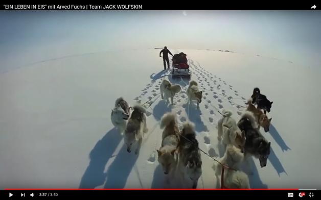 Durch das Flachland von Grönland: Arved Fuchs ließ sich von Hunden ziehen.