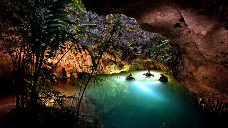 Im Dschungel Mexikos:Für die Maya waren diese Wasserlöcher heilige Quellen.