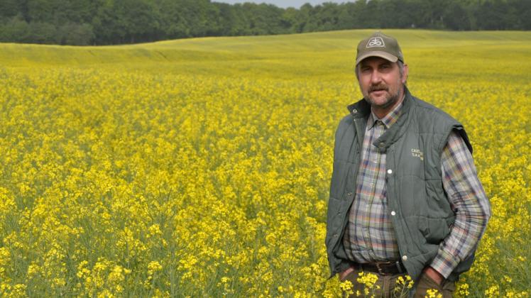 In einem satten Gelb leuchten die Felder bei Zickhusen – Landwirt Hansjörg Rotermann freuts. 