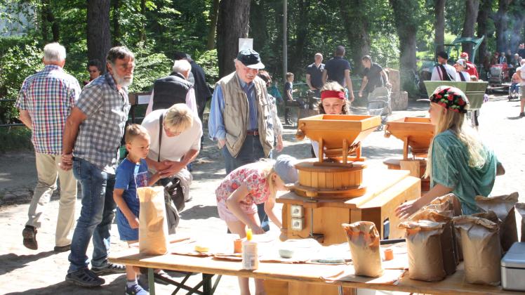 Zum Mühlentag an der Wassermühle am Rantzauer See kamen gestern Tausende von Besuchern.  