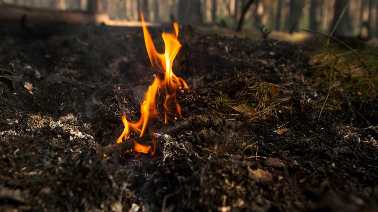 Aufgrund der trockenen Witterung im Mai ist in Schleswig-Holstein vielerorts die Gefahr für Wald- und Flächenbrände gestiegen. 