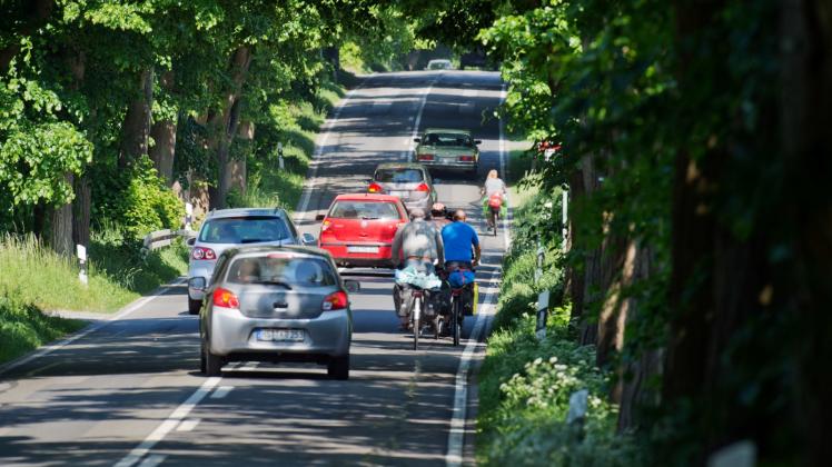 Fahrzeuge und Radfahrer sind bei sonnigem Wetter auf der Allee zwischen Garz und Putbus unterwegs. Der Abschnitt gehört zur Deutschen Alleenstraße. 