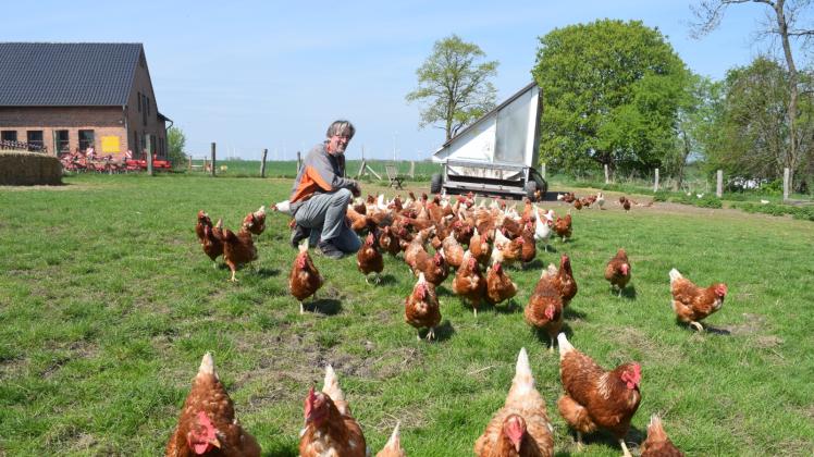 Zwischen glücklichen Hühnern der Hybridrassen Lohmann braun und weiß: Landwirt Franz-Joachim Bienstein mit einem der zwei mobilen Hühnerställe im Hintergrund. 