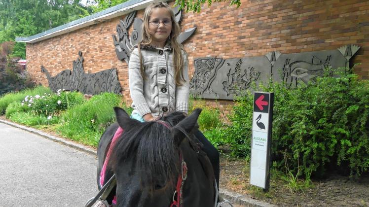 Den Ausritt auf dem Pony Ferarri, welches im Gegensatz zu seinem Namensgeber, dem italienschen Sportwagen, nur mit einer Pferdestärke auskommt, genießt die neunjährige Marie. Fotos: Anja engel 