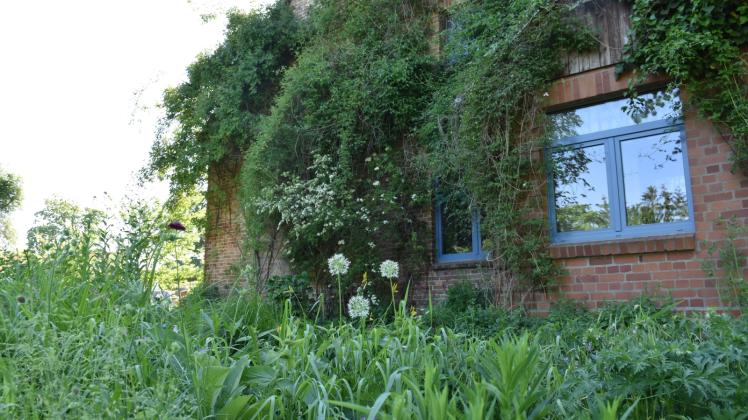 Rund um das 200 Jahre alte Bauernhaus hat sich der Groß Potremser seinen Traum von einem naturnahen Garten erfüllt und eine grüne Oase erschaffen. 