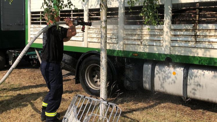 Kameraden der Feuerwehr versorgten die Tiere des bei Vorbeck liegengebliebenen Transports mit Wasser. 