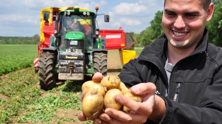 Frisch geerntet: Es sind die ersten Frühkartoffeln der Saison, die Landwirt Erik Steinhauer in der Hand hält. 